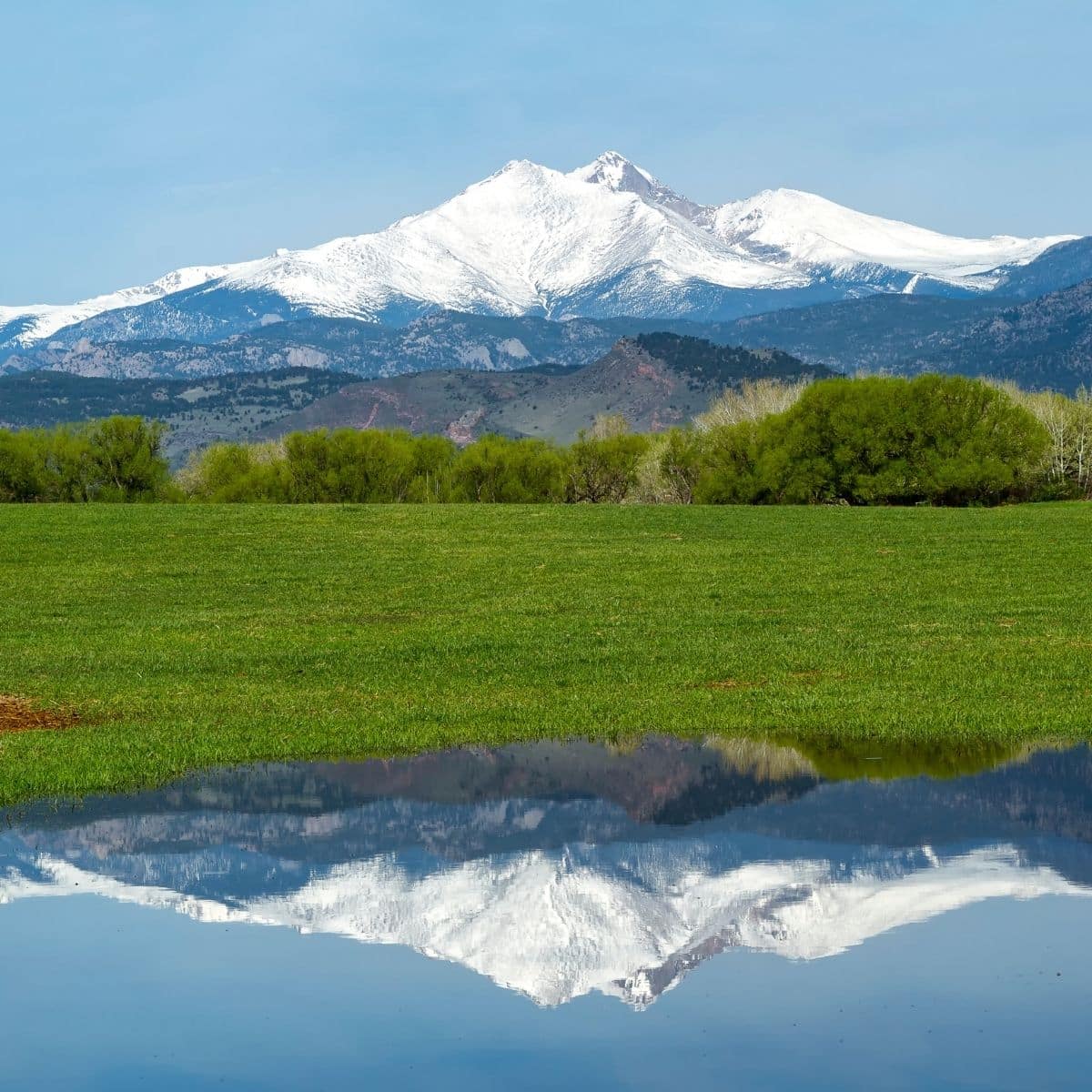 Flexible Packaging & Pressure Sensitive Labels in Longmont, CO